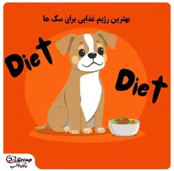 بهترین رژیم غذایی برای سگ ها