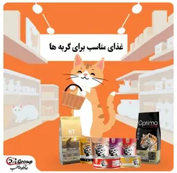 غذای مناسب برای گربه‌ها 