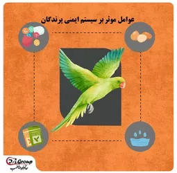  تقویت سیستم ایمنی پرندگان 