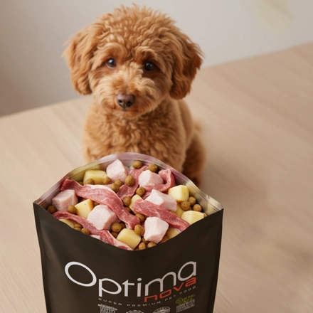 خوراک دایجستیو سگ