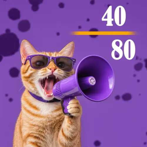 جشنواره بزرگ «80-40» دناطب  به مناسبت سالگرد تأسیس شرکت دناطب