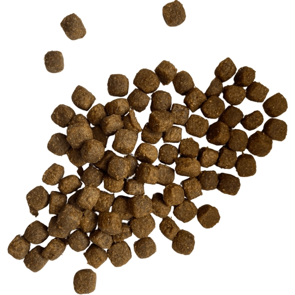 پاپی جونیور همه نژادها طعم مرغ و برنج 3 کیلوگرم